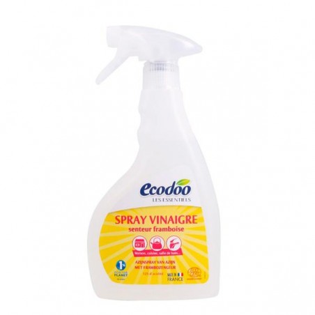 Vinagre Frambuesa Spray Bio 500ml Ecodoo