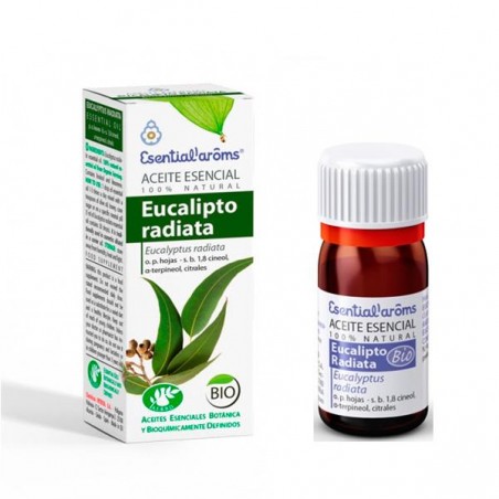 Aceite esencial de Eucalipto Radiata Bio